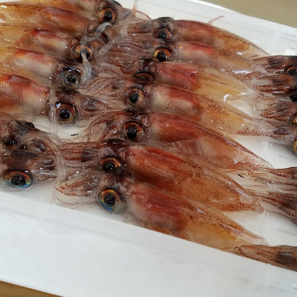 天然醸造 麹のちからで熟成させた魚醤　麹の魚醤 ホタルイカ 100ml【兵庫県香住産】
