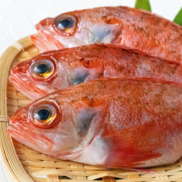 天然醸造 麹のちからで熟成させた魚醤　麹の魚醤 ノドグロ 100ml【兵庫県香住産】