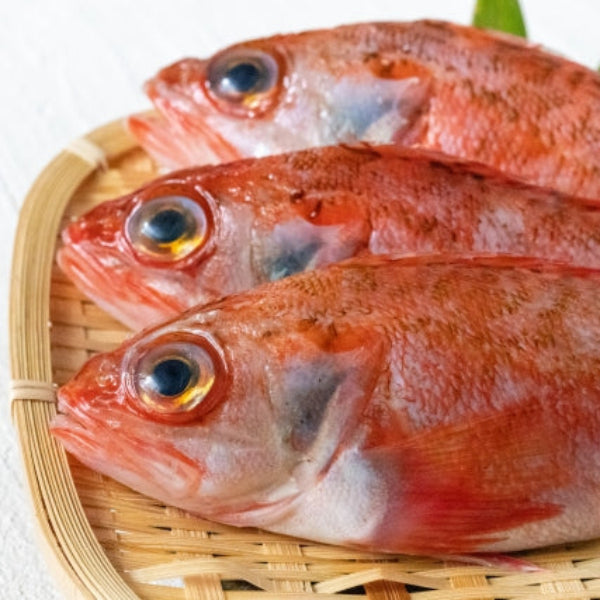 防災食、アウトドア食としても最適　のどぐろ煮付【兵庫県香住産】