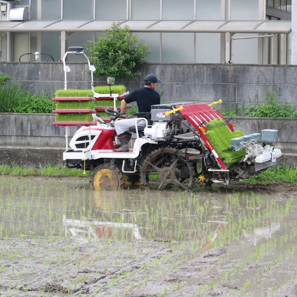 玄米 ヒノヒカリ 5kg　小野市の豊かな自然が育んだ 甘みと粘りのバランス米【兵庫県小野産】