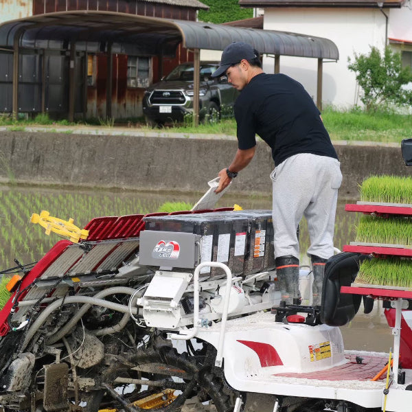 玄米 ヒノヒカリ 5kg　小野市の豊かな自然が育んだ 甘みと粘りのバランス米【兵庫県小野産】