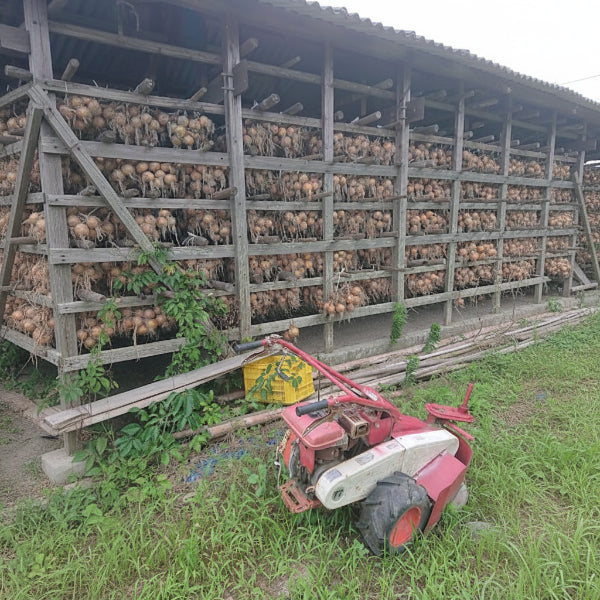 小屋づり 熟成 おいしい！ 山田さんちの”こだわり”淡路島玉ねぎ 3kg【兵庫県淡路島産】