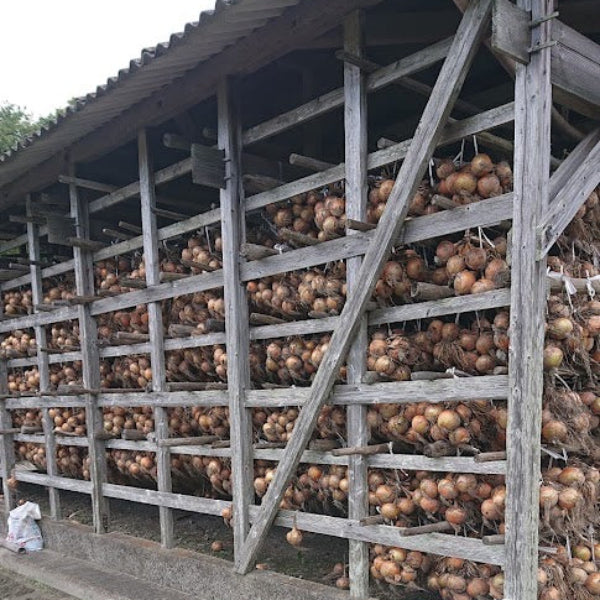 小屋づり 熟成 おいしい！ 山田さんちの”こだわり”淡路島玉ねぎ 3kg【兵庫県淡路島産】