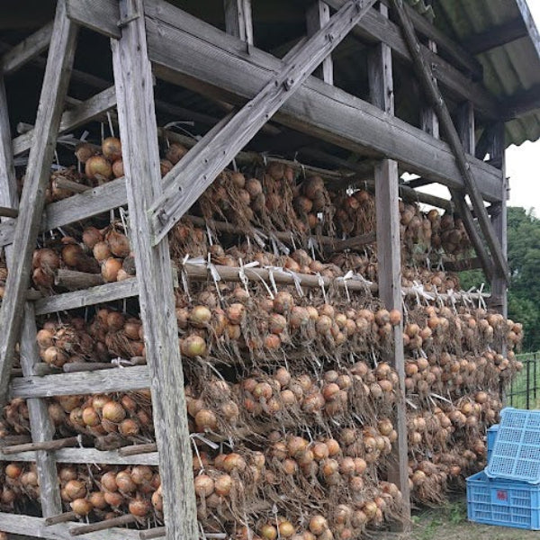 小屋づり 熟成 おいしい！ 山田さんちの”こだわり”淡路島玉ねぎ 3kg【兵庫県淡路島産】