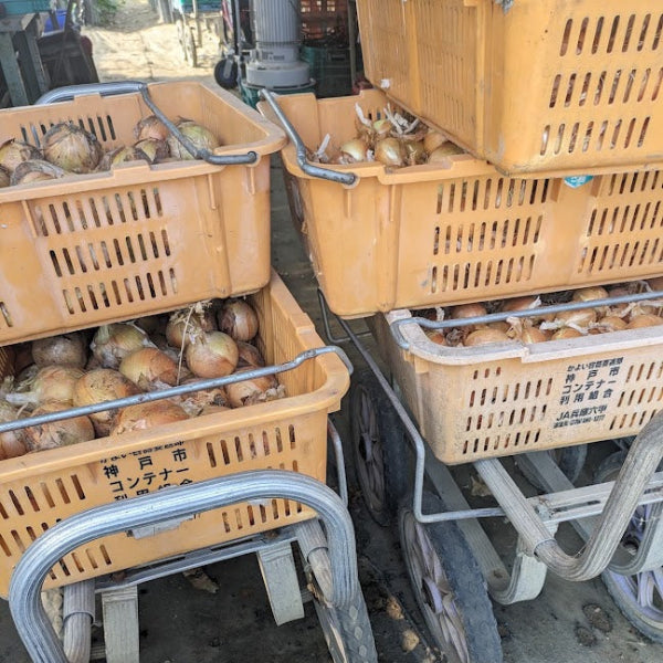 小屋づり 熟成 おいしい！ 山田さんちの”こだわり”淡路島玉ねぎ 3kg【兵庫県淡路島産】