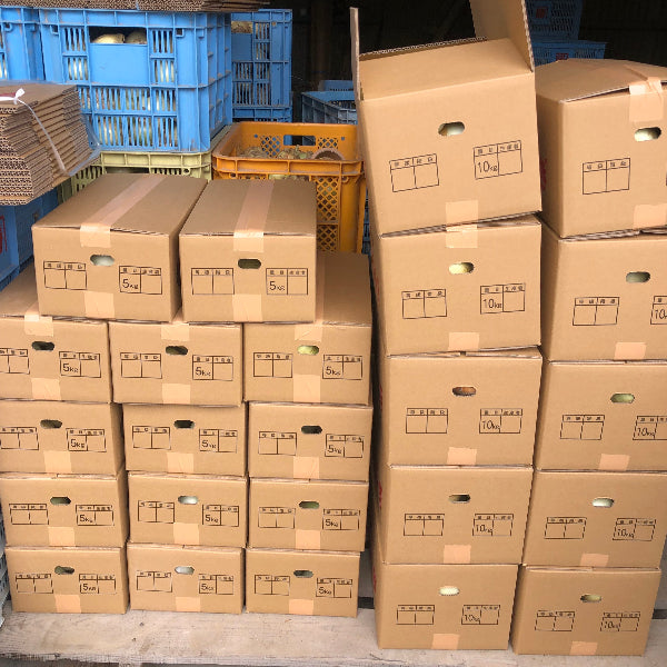 小屋づり 熟成 おいしい！ 山田さんちの”こだわり”淡路島玉ねぎ 3kg【兵庫県淡路島産】