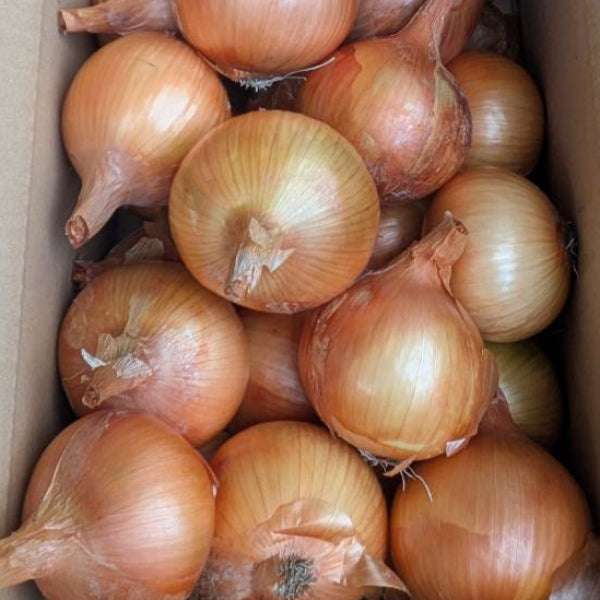 小屋づり 熟成 おいしい！ 山田さんちの”こだわり”淡路島玉ねぎ 3kg【兵庫県淡路島産】