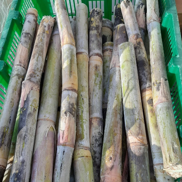 無添加 国産野菜7種・独自製法・家族で楽しめる、極上の野菜チップス「日本の野菜・極」420g【兵庫県神戸産】