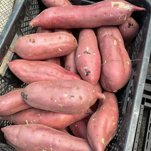 無添加 国産野菜7種・独自製法・家族で楽しめる、極上の野菜チップス「日本の野菜・極」420g【兵庫県神戸産】