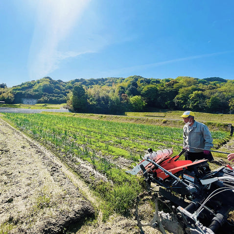 《予約販売》淡路島 新玉ねぎ 極早生 “いくたま” 5kg【兵庫県淡路島産】