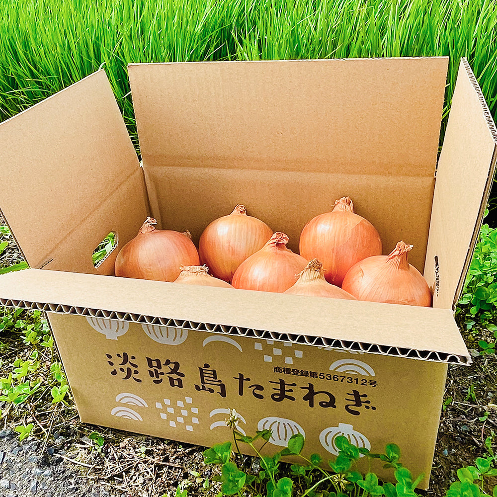 淡路島玉ねぎ 淡路島玉ねぎ “いくたま” Mサイズ 10kg【兵庫県淡路島産】農産物