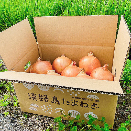 兵庫県淡路島より産地直送の玉ねぎ