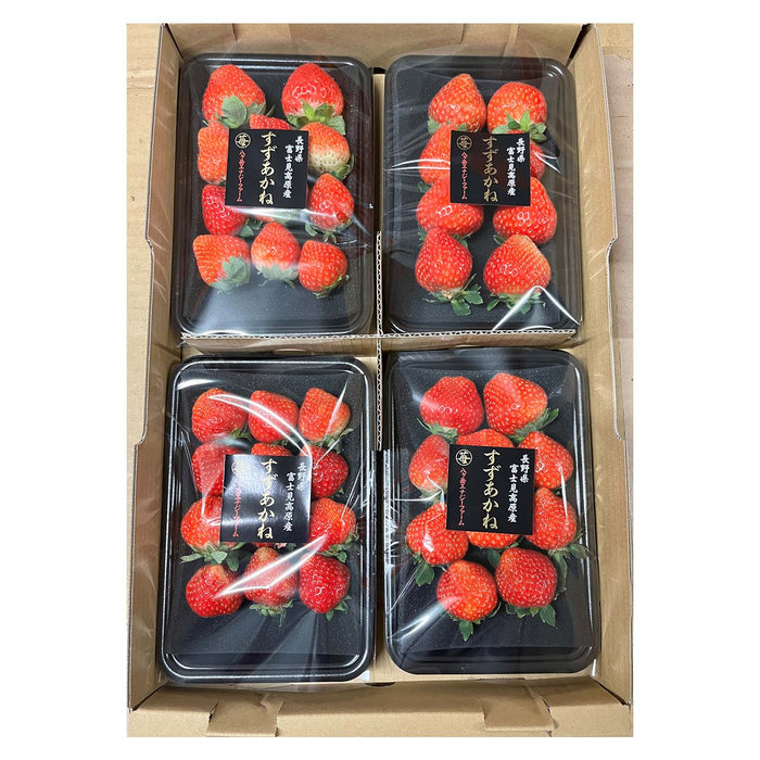 色鮮やかなイチゴ すずあかね 200g×4パック【長野県産】