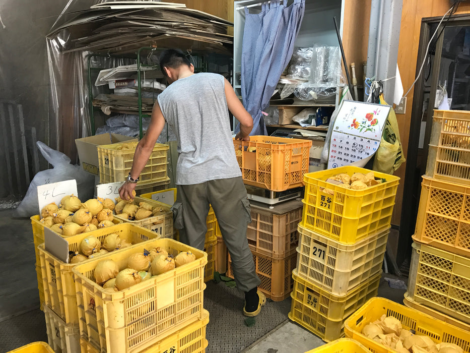 《恥ずかしい訳アリ》中上さん家の梨　なめらかな口どけの幸水【奈良県五條産】