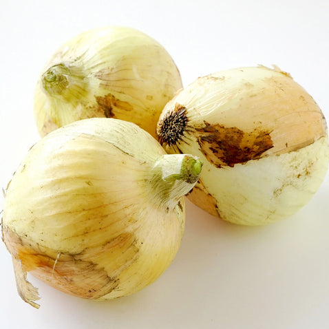 淡路島玉ねぎ “いくたま” Lサイズ 10kg【兵庫県淡路島産】