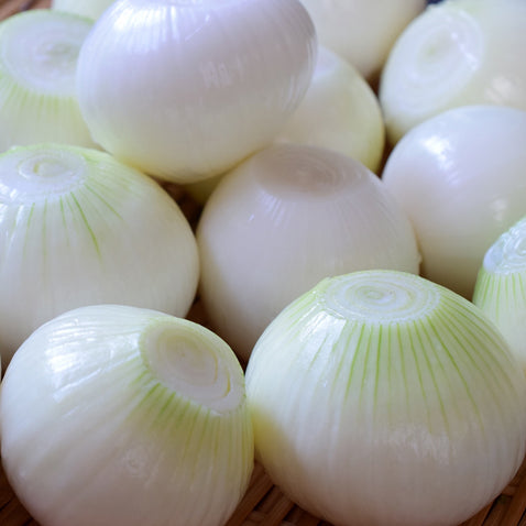 兵庫県淡路島より産地直送の玉ねぎ