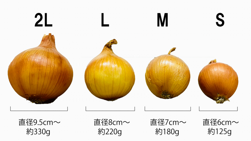 兵庫県淡路島より産地直送の玉ねぎ