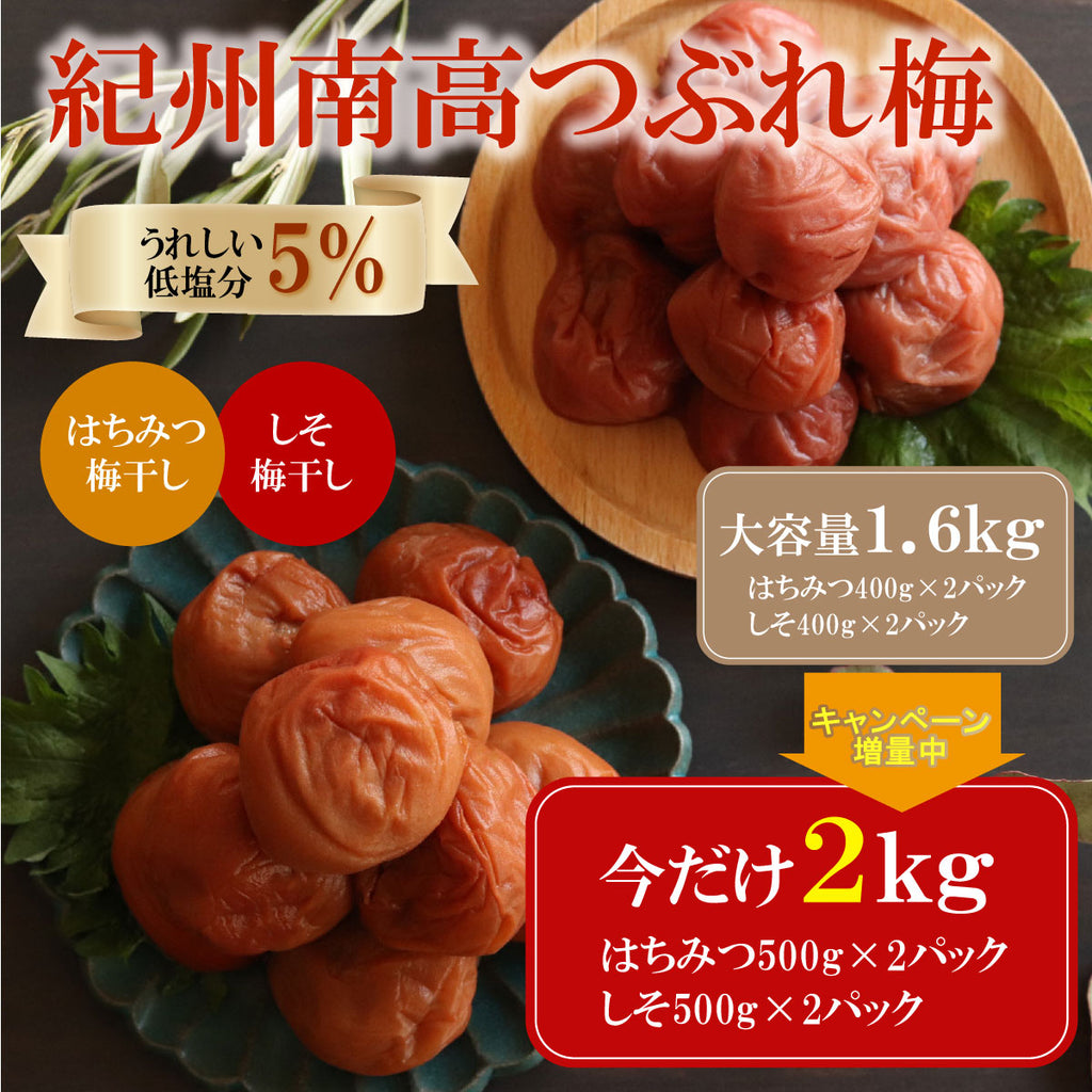 梅干し ながお梅園 南高梅 つぶれ梅干し 200g×2パックセット うめぼし 