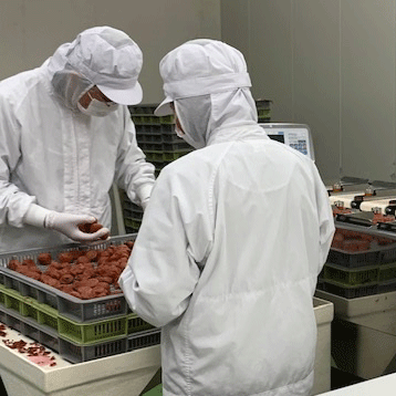 《増量キャンペーン中》つぶれ梅干し  訳あり 紀州南高梅 はちみつ梅 500g×4パック【和歌山県産】