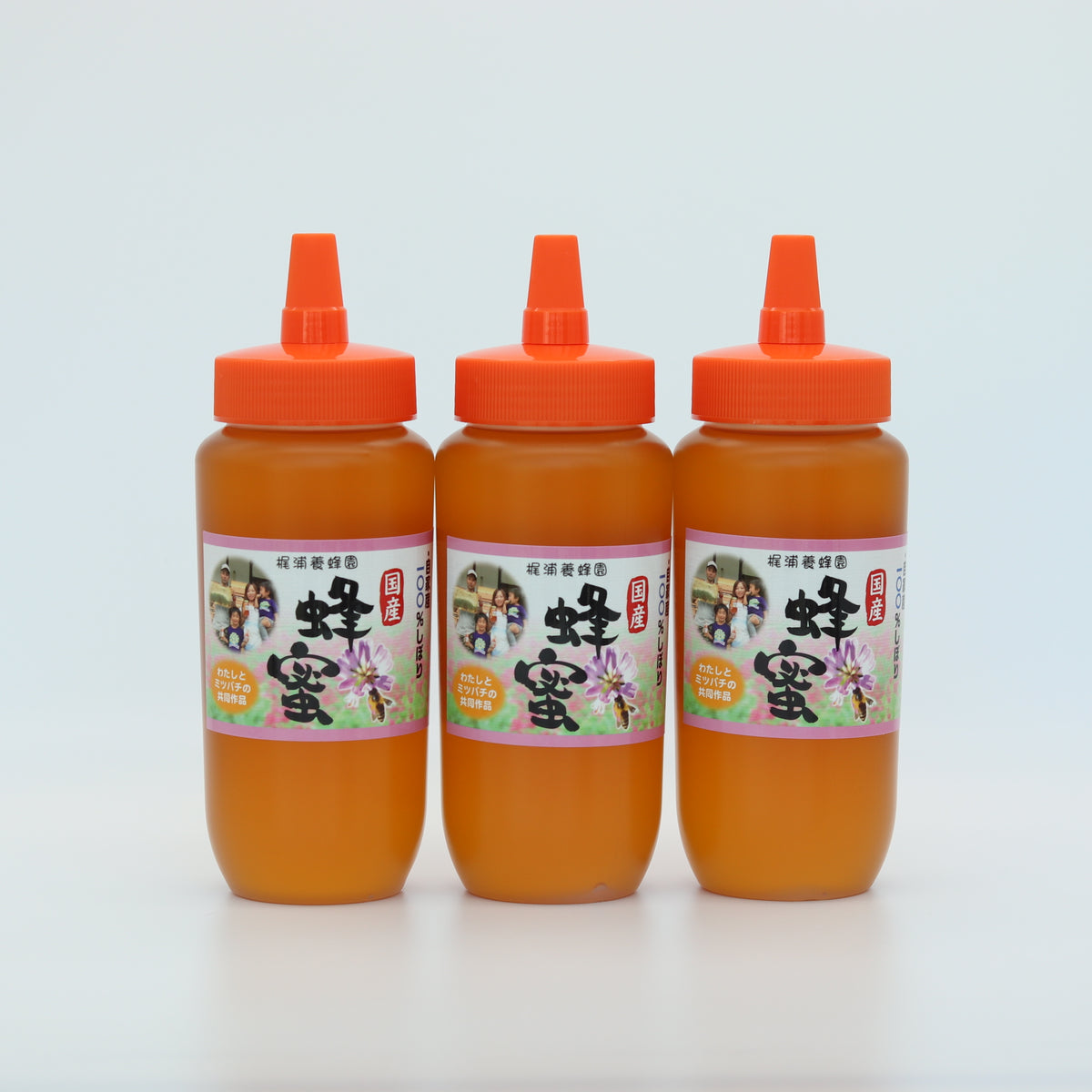 梶浦養蜂園の100％天然はちみつ 百花蜜 500g×3本【徳島県吉野川産