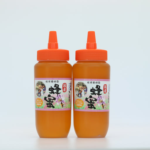 梶浦養蜂園の100%天然はちみつ 百花蜜 500g×2本【徳島県吉野川産】