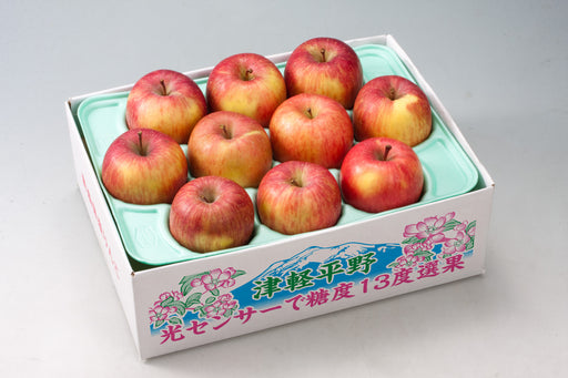 葉とらずりんご サンふじ 2.5kg 糖度13度【青森県産】【津軽平野】